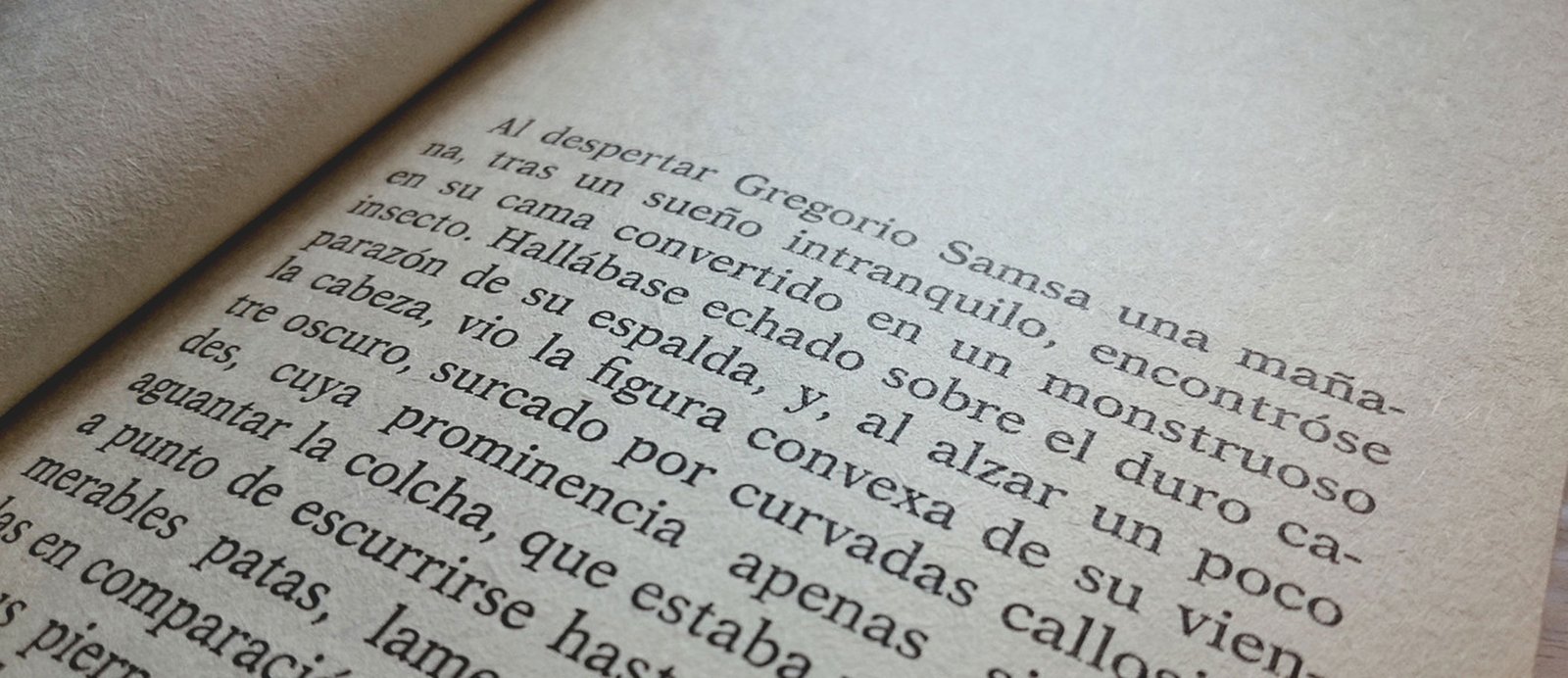 Cómo publicar una novela optimizando la corrección de estilo con un buen corrector