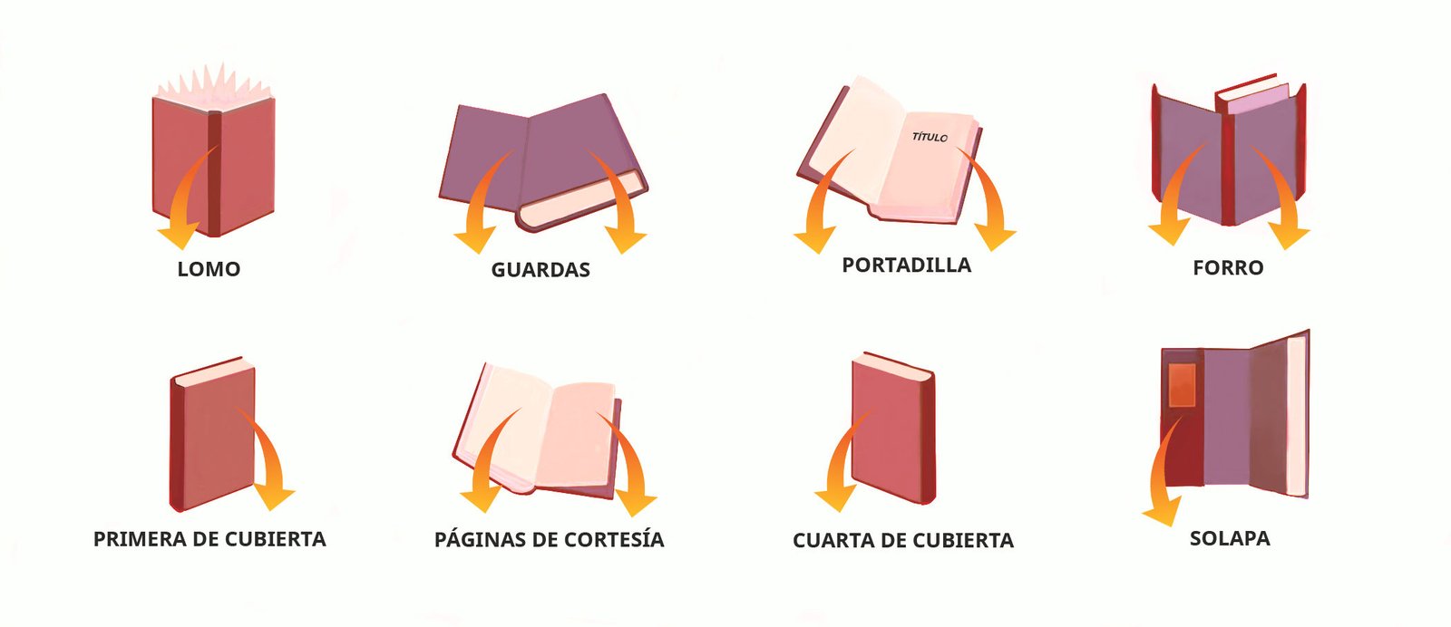 Domina la terminología editorial: una guía visual completa de cada parte de tu libro. Infografía detallada de las partes de un libro, señalando la cubierta, el lomo, las guardas, el forro, la solapa, las páginas de cortesía o la portadilla.
