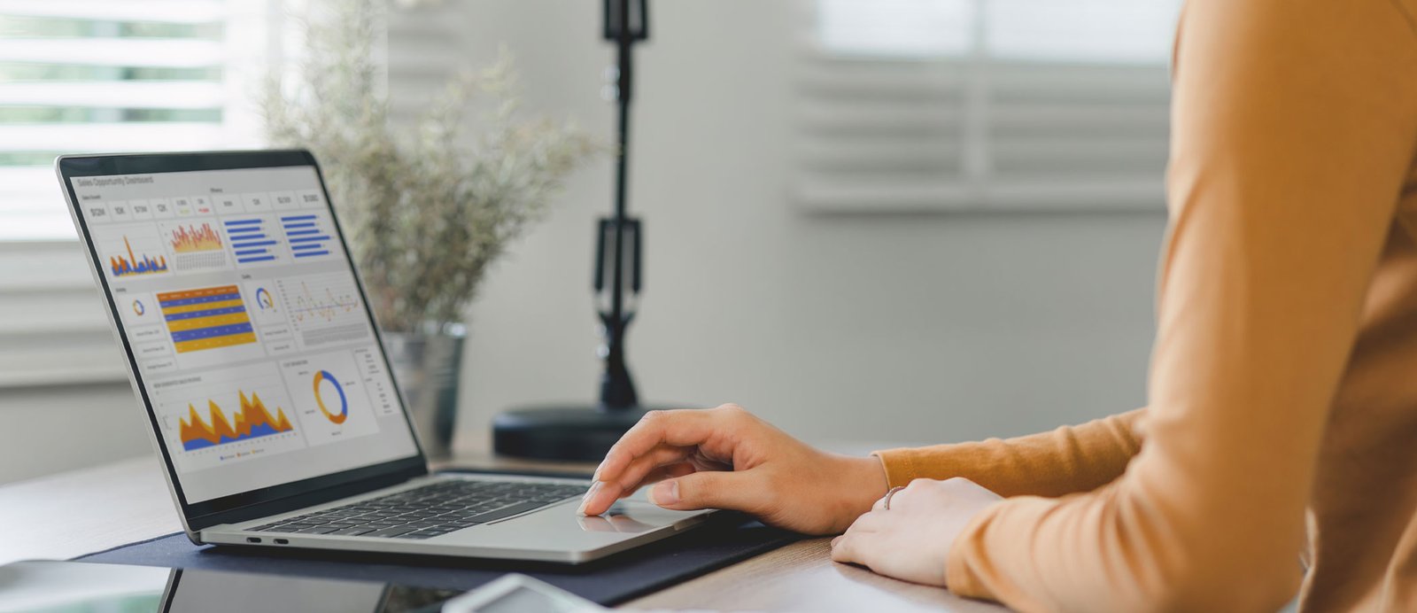 Autora-analista de negocio frente a su ordenador, revisando gráficos y estadísticas para construir el informe de rendimiento de su libro.